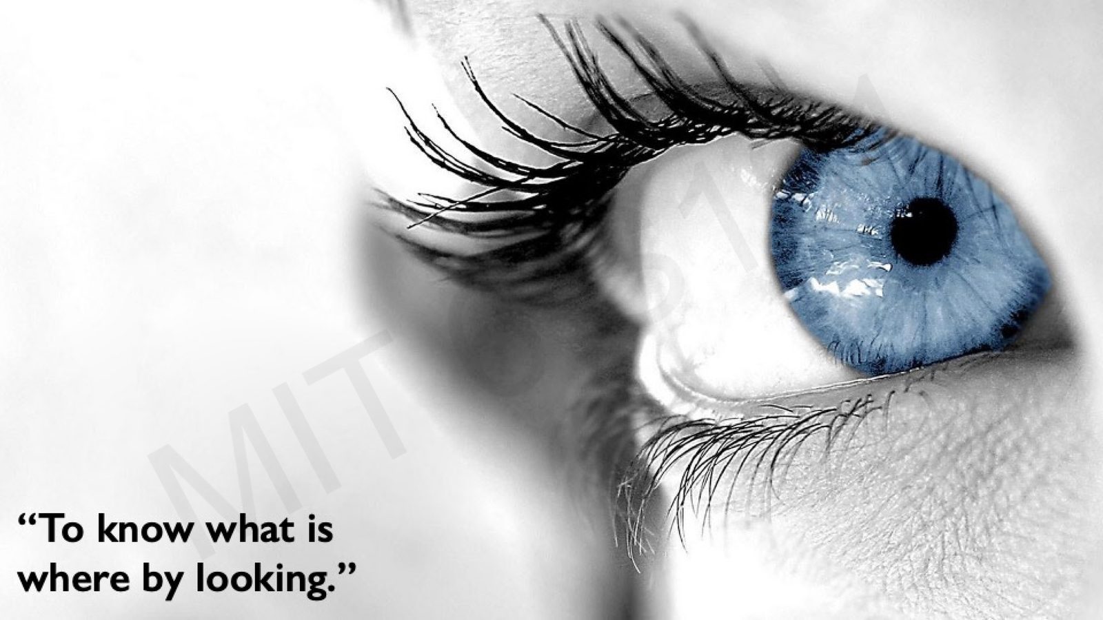 计算机视觉的核心定义："To know what is where by looking."