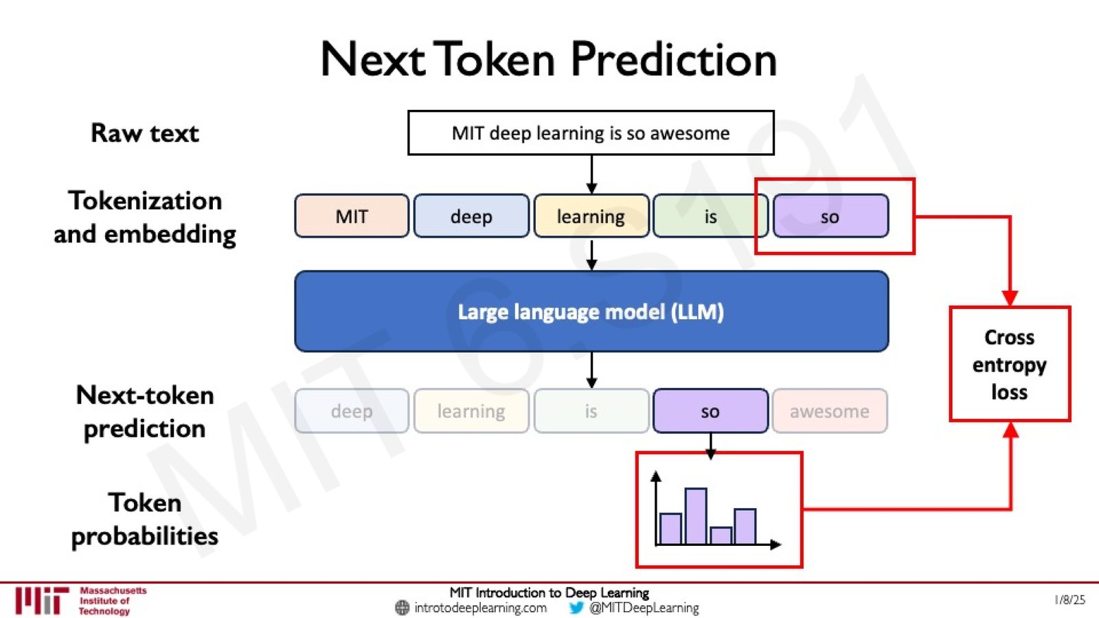 Next Token Prediction 的详细训练流程
