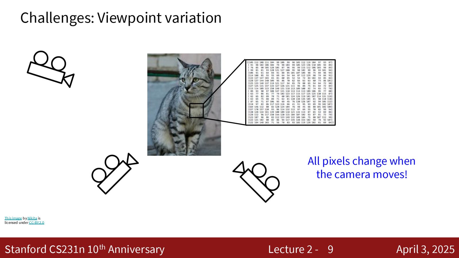 视角变化（Viewpoint Change）