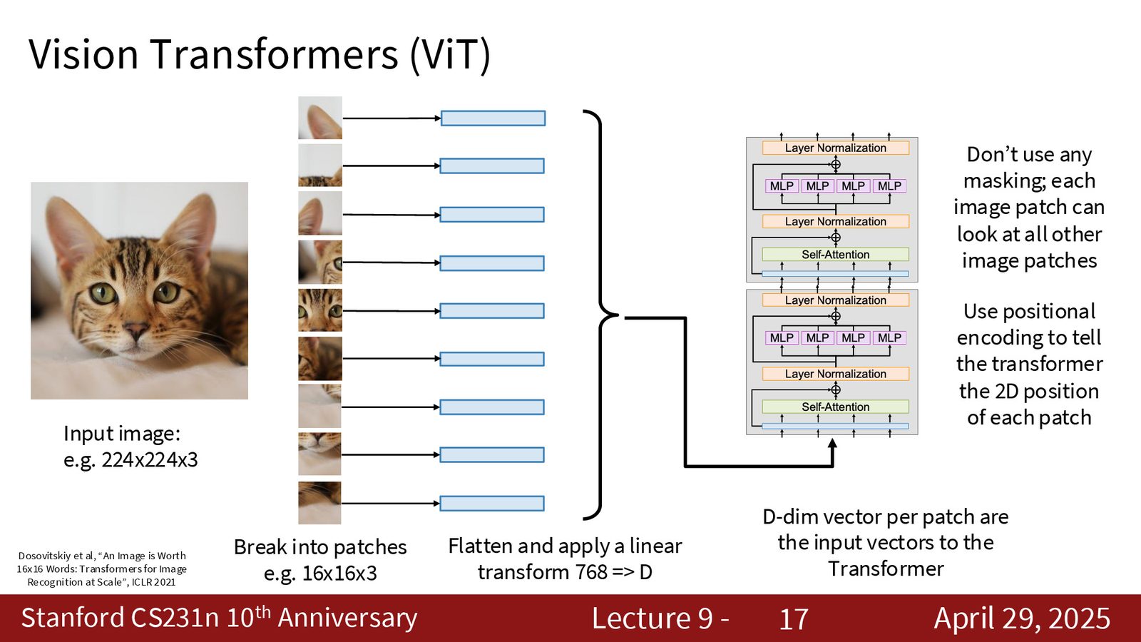 ViT 的详细流程：\(224 × 224 × 3\) 图像切分为 \(16 × 16\) patch，线性投影到 \(D\) 维，再经过 Transformer 层处理