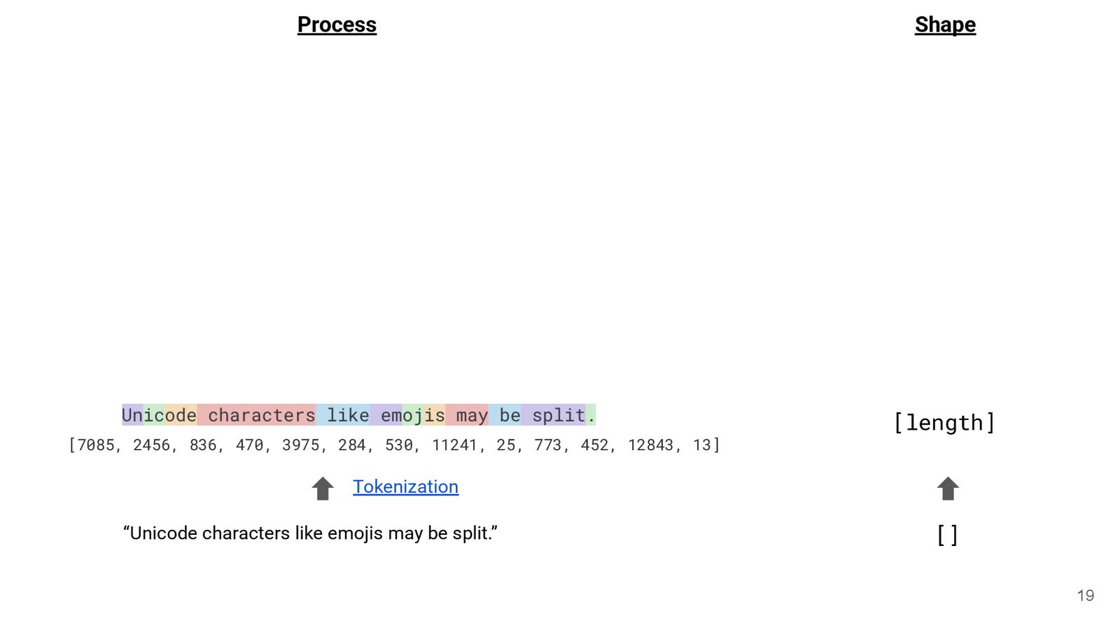 Slide 18 说明了 tokenization 到 embedding 的 transformation，强调 shape change。