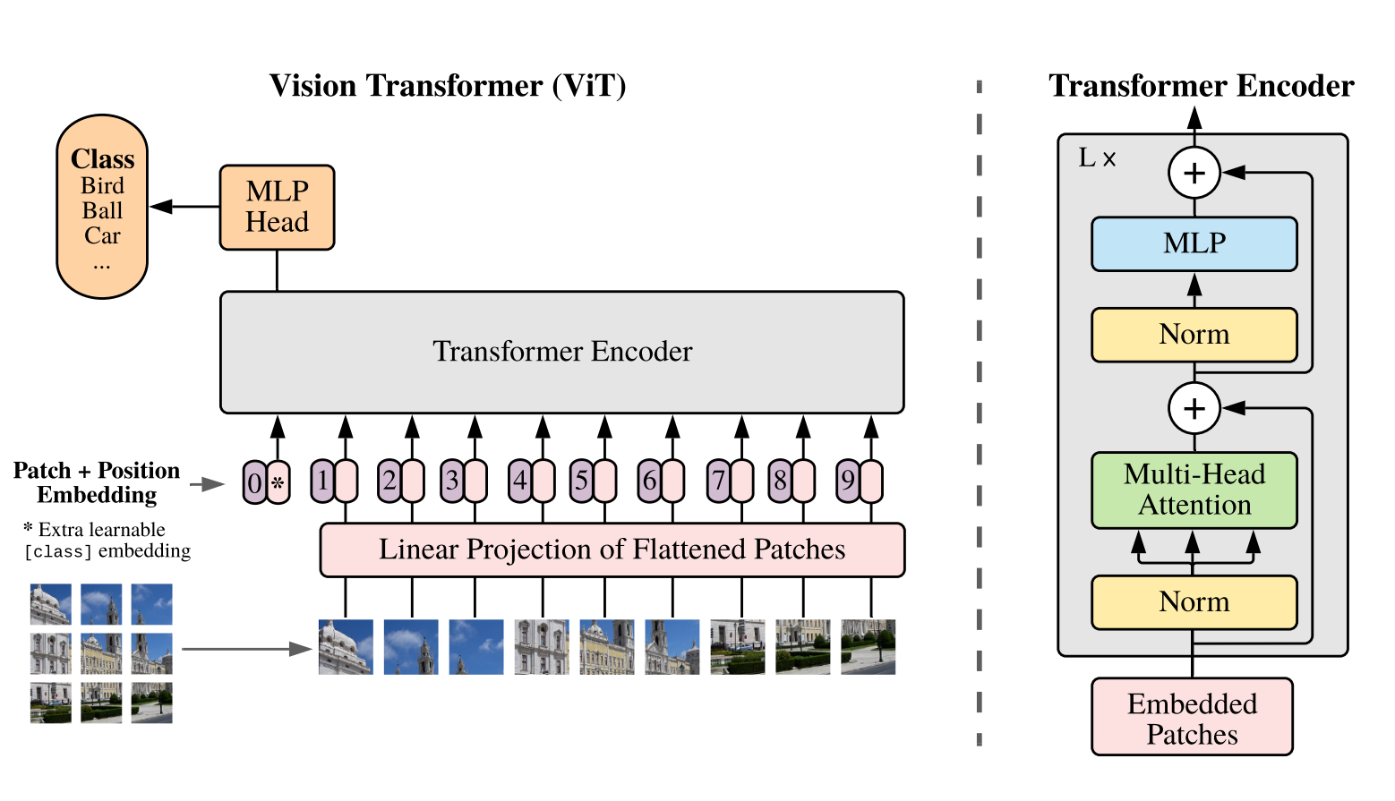 Vision Transformer：patchify、linear projection、position embedding 与 Transformer encoder。