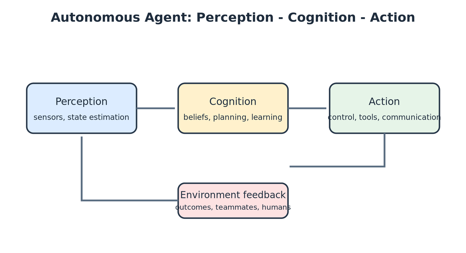 讲义整理图：Perception、Cognition、Action 与环境反馈闭环