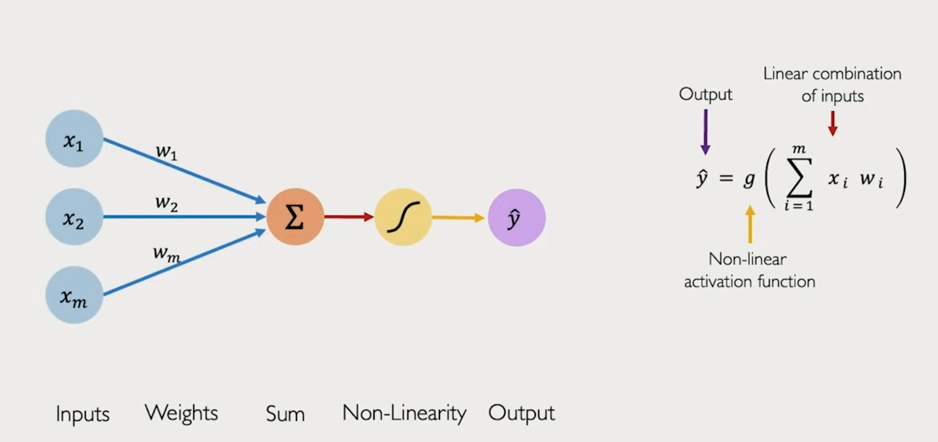 ../../source/Forward Propagation.png