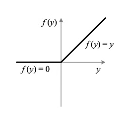 ../../source/ReLU function.png